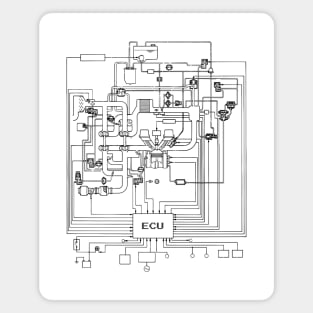 ECM Diagram Magnet